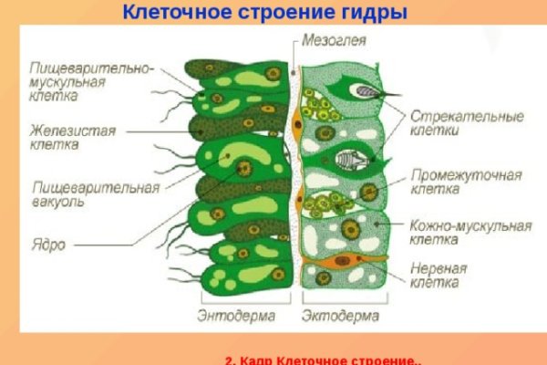 Кракен дарк шоп