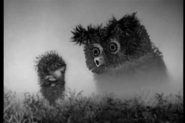 Как закинуть деньги на кракен